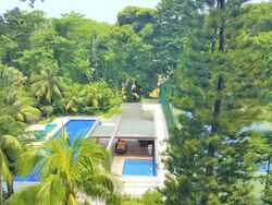 Nassim Regency (D10), Condominium #550421671